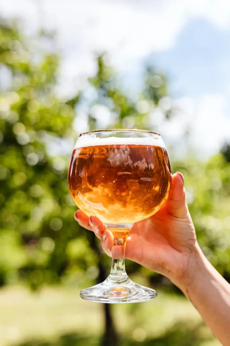 Brewery production facility with fermentation tanks reviewed by Solon brewery consultants